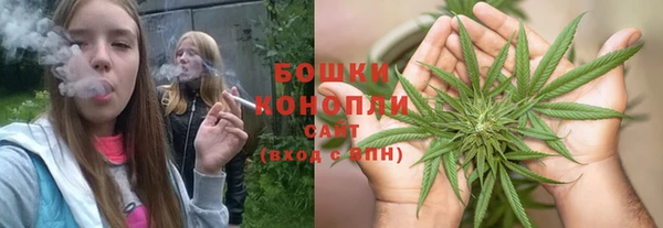 сатива Нязепетровск